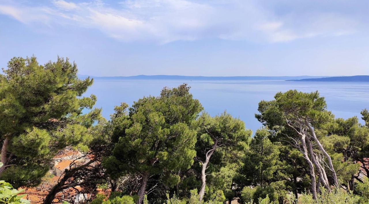 Gemuetliche Villa Mit Pool Brela Bagian luar foto